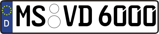 MS-VD6000