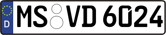 MS-VD6024