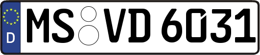 MS-VD6031
