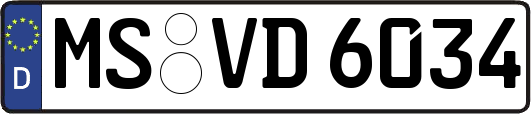 MS-VD6034