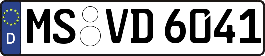 MS-VD6041