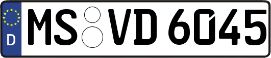 MS-VD6045