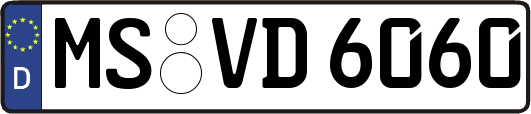 MS-VD6060