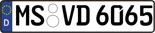MS-VD6065