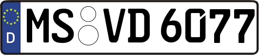 MS-VD6077