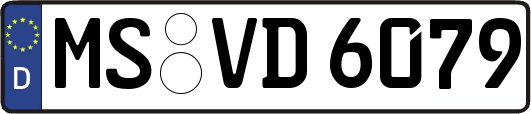 MS-VD6079
