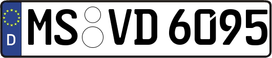 MS-VD6095