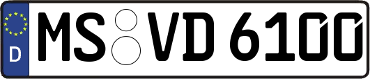 MS-VD6100