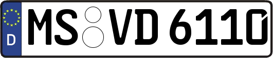 MS-VD6110