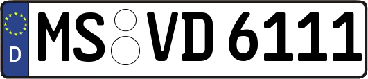 MS-VD6111