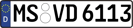 MS-VD6113