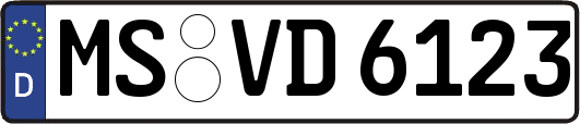MS-VD6123