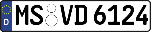 MS-VD6124