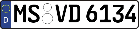 MS-VD6134