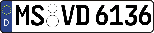 MS-VD6136