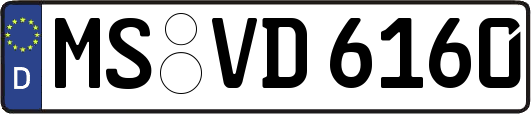 MS-VD6160