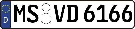 MS-VD6166