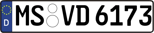 MS-VD6173
