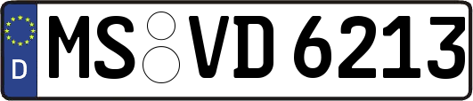 MS-VD6213