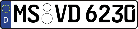 MS-VD6230