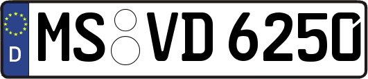 MS-VD6250