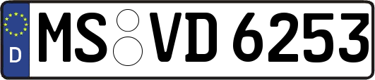 MS-VD6253