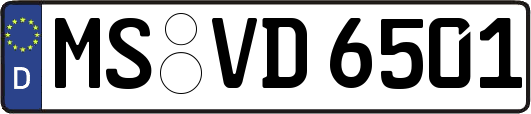 MS-VD6501