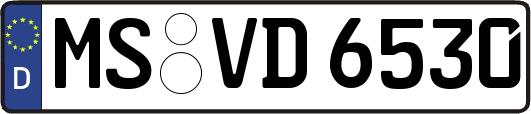 MS-VD6530