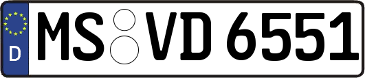 MS-VD6551