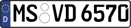 MS-VD6570