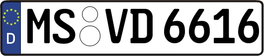 MS-VD6616