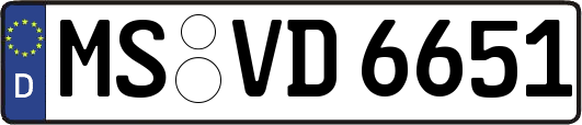 MS-VD6651