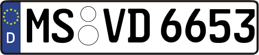 MS-VD6653