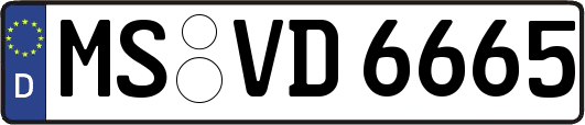 MS-VD6665