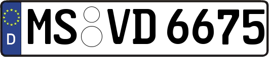 MS-VD6675