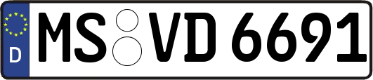 MS-VD6691
