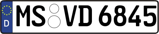MS-VD6845