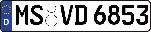 MS-VD6853