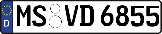 MS-VD6855