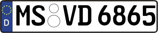MS-VD6865