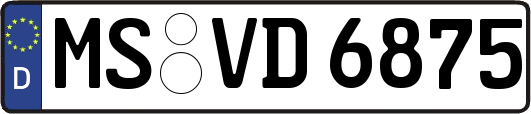 MS-VD6875