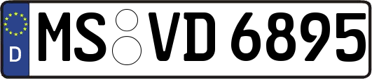 MS-VD6895