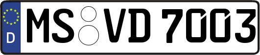 MS-VD7003