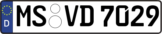 MS-VD7029