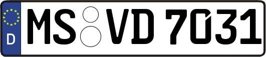 MS-VD7031