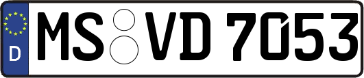 MS-VD7053