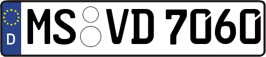 MS-VD7060