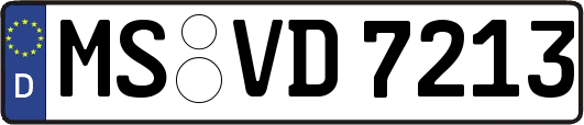 MS-VD7213