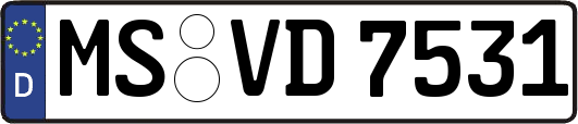 MS-VD7531