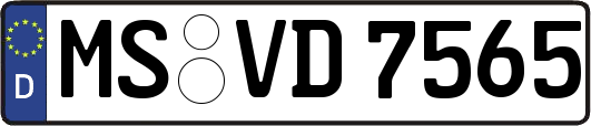 MS-VD7565